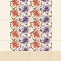 Digital Ceramic Wall Tiles Glossy Series (250X500)