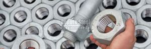 Duplex & Super Duplex Steel Fastener