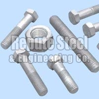 hot dip galvanized fastener