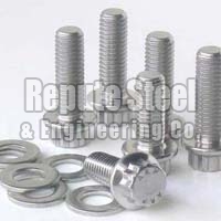 Stainless Steel Fastener