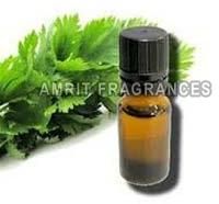 Celery Seed Oil