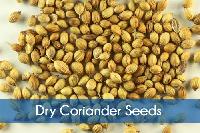 Dry Coriander Seed