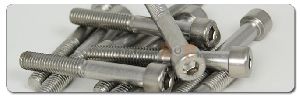 Stainless Steel Bolts