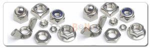 Stainless Steel Nuts