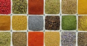 Indian spices