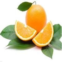 Orange Fruit Extract