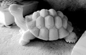 Marble Tortoise Statue