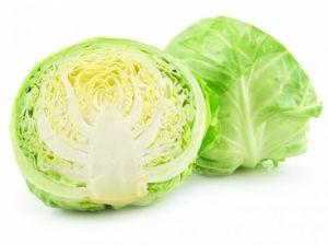 Fresh Cabbage