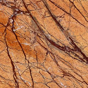 Rainforest Gold Marble