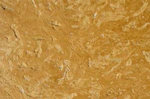 Flowery Gold sandstone