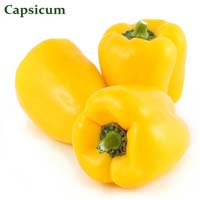 Fresh Yellow Capsicum