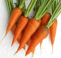 Carrot