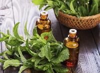 natural mint oil