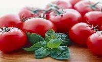 Lycopene