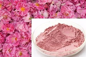 Rose Petal Powder