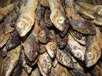 Dried Fish