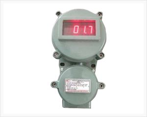 Flame Proof Temperature Indicator