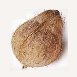 Coconut