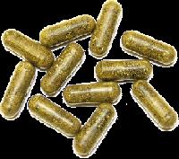 Allopathic Capsules