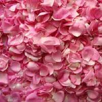 Dry Rose Petals