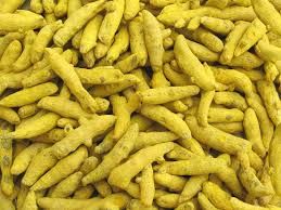 Finger Turmeric