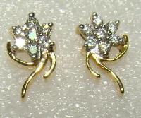 Diamond Studded Earrings