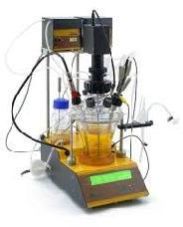 laboratory bioreactor