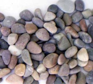 Mix Gray Tan Color Gravels