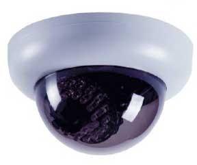 RYK 2G85L Dome Camera