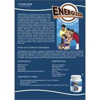 Protein Powder- Energizer