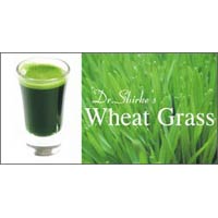 Wheat Grass Powder