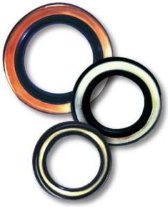 oil seals