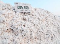 Organic Cotton