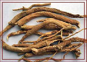 Withania Somnifera (Ashwagandha Extract)