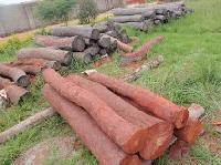 Red Sandalwood Logs