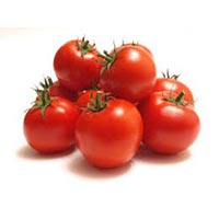 Fresh Tomato