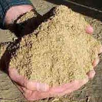 Cattle Feed Supplements