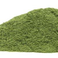 Azadirachta Indica Powder