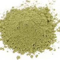 Cassia Auriculata Powder