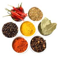 Indian spices