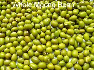 Whole Moong Beans