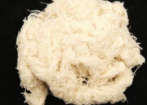 Cotton Yarn Waste