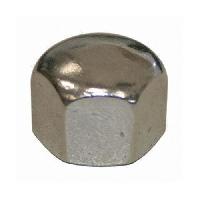 Hex Cap Nut