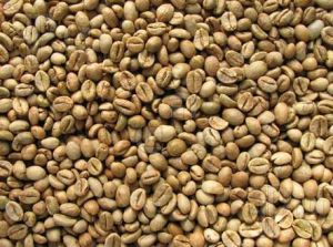 Robusta Coffee Beans