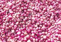 Small Red Onion