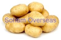 Fresh Potatoes