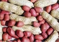 Hps Groundnuts