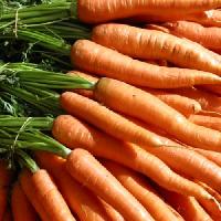 Fresh Carrot