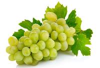 Fresh Grapes