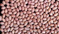 Hps Groundnuts